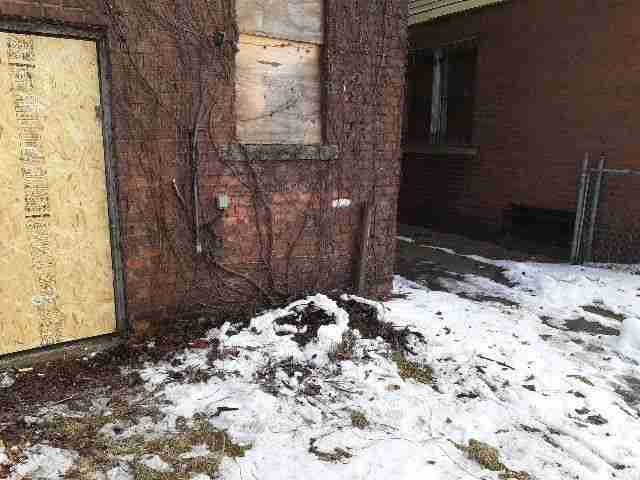 Testing again(84).jpg